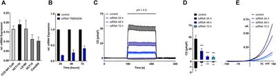 CBA (4-chloro-2-(2-chlorophenoxy)acetamido) benzoic acid) inhibits TMEM206 mediated currents and TMEM206 does not contribute to acid-induced cell death in colorectal cancer cells